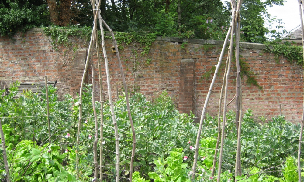 Wooden rods in the garden