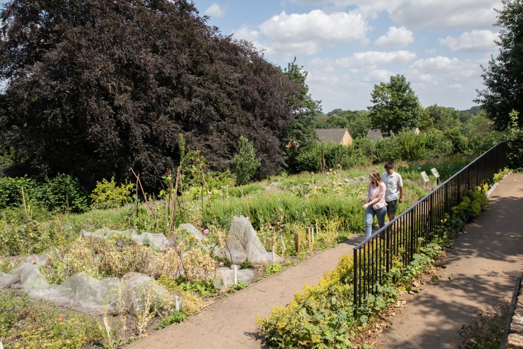 Workhouse Museum Garden