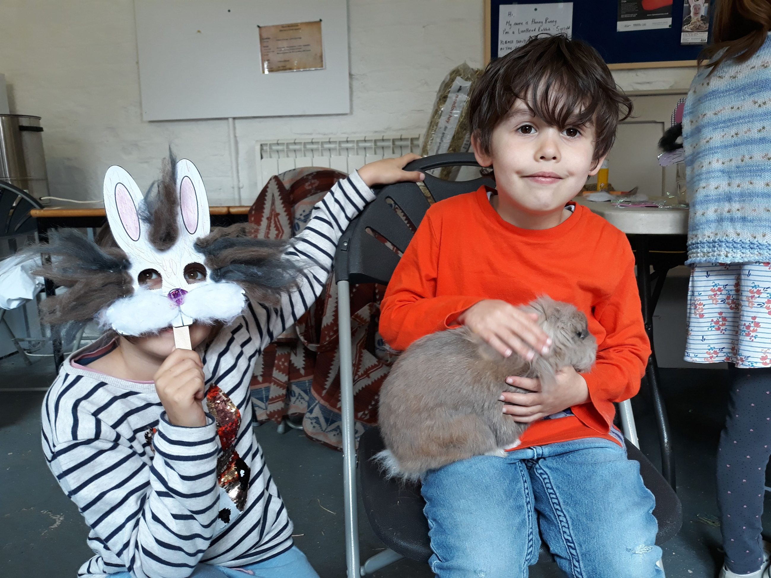 Easter activities and bunny rabbit