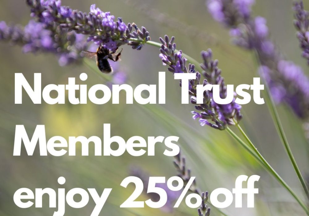 25% off Ripon Museums for National Trust Members