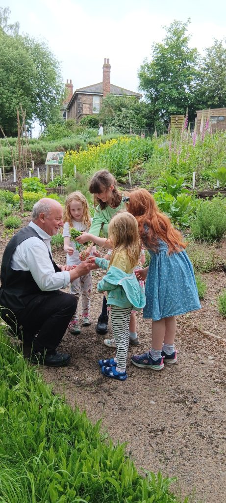 Summer trail at the Ripon Museums with kids playing and exploring the Victorian gardens and looking at herbs and insects