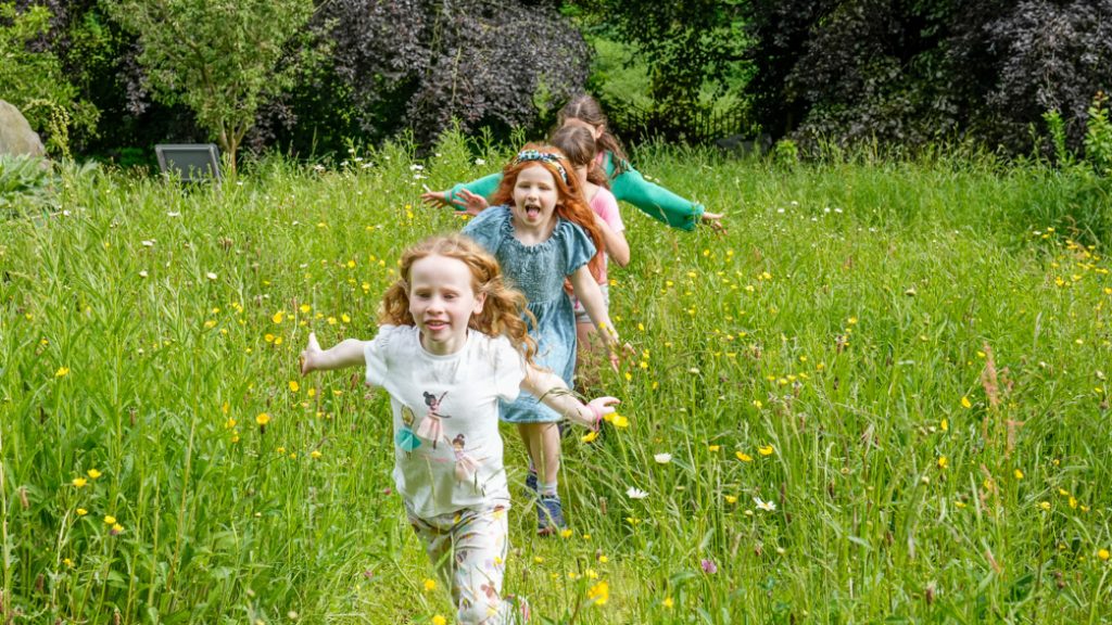 Children running in the Ripon Museums Victorian gardens this summer