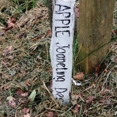 Apple Joaneting Tree Marker