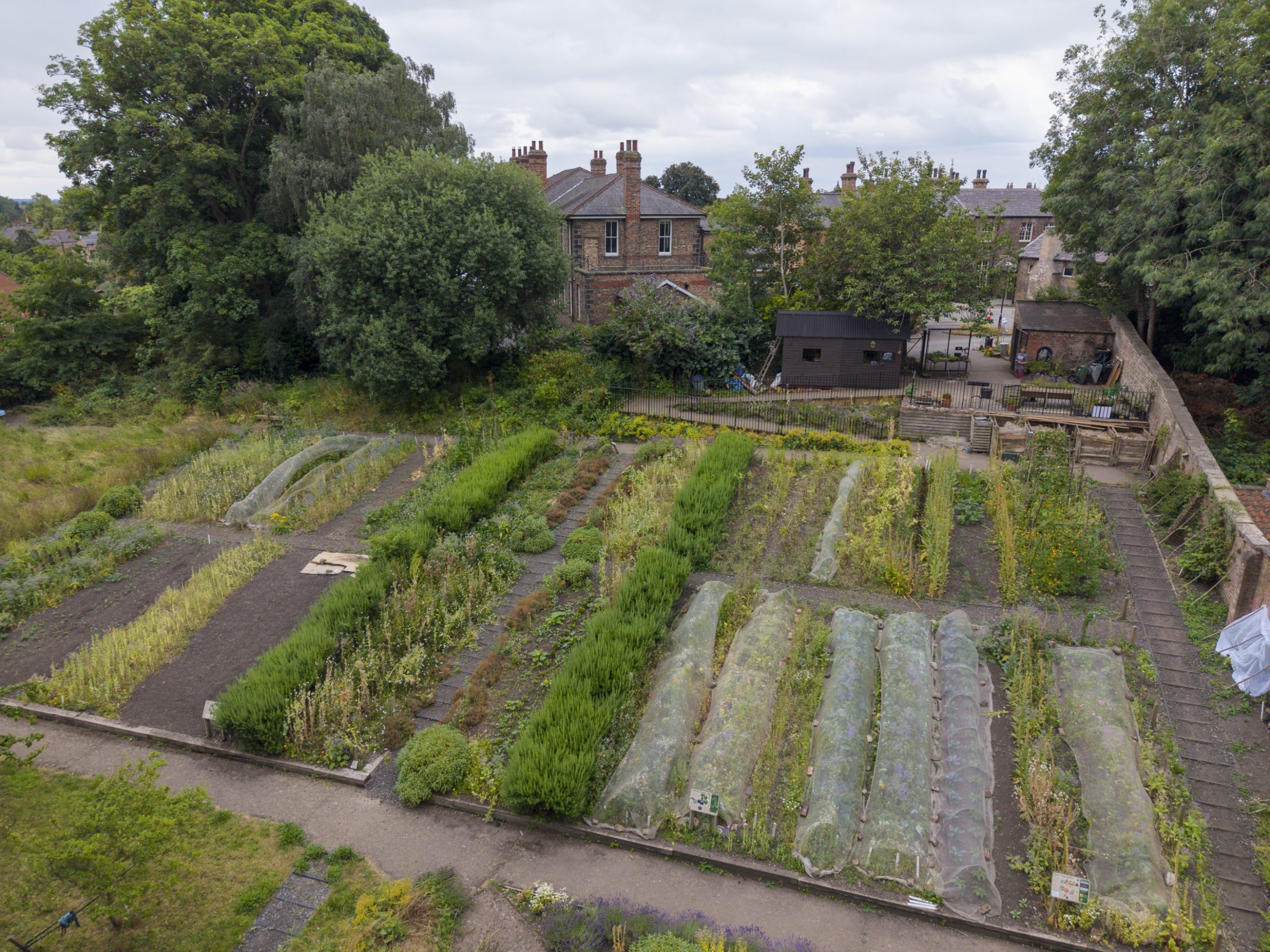 
							Ariel view of the Ripon Workhouse garden